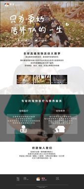 潛子寵物 一個以愛為名的企業官網設計之旅